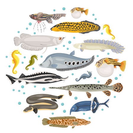 珍しい淡水のアクアリウムの魚飼育フラット スタイルは 白で隔離のアイコンを設定しています ペットについて独自のインフォ グラフィックを作成します ベクトルの図 のイラスト素材 ベクタ Image 珍しい淡水のアクアリウムの魚飼育フラット スタイルは 白で隔離のアイコンを設定しています ペットについて独自のインフォ グラフィックを作成します ベクトルの図 のイラスト素材 ベクタ Image