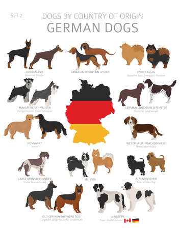 Dogs by country of origin. German dog breeds. Shepherds, hunting, herding, toy, working and service dogs set. Vector illustration