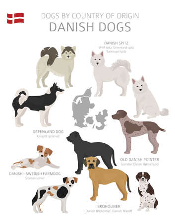 Dogs by country of origin. danish dog breeds. shepherds, hunting, herding, toy, working and service dogs set. vector illustration