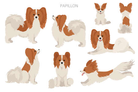 驚きの値段で 絵画 原画 パステル画 犬 パピヨン 絵画 タペストリ Aspock Com