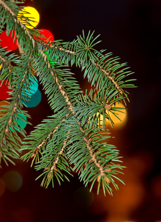twig of christmas tree with coloured lights stock photo picture and coloured lights christmas tree
