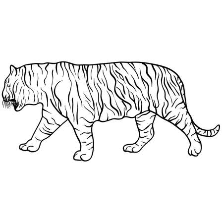 虎の頭を持つベクトル イラスト 手描きのスケッチ 野生動物のイラスト のイラスト素材 ベクタ Image 虎の頭を持つベクトル イラスト 手描きのスケッチ 野生動物のイラスト のイラスト素材 ベクタ Image