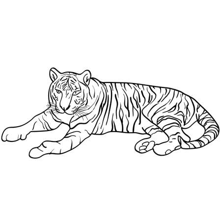 虎の頭を持つベクトル イラスト 手描きのスケッチ 野生動物のイラスト のイラスト素材 ベクタ Image 虎の頭を持つベクトル イラスト 手描きのスケッチ 野生動物のイラスト のイラスト素材 ベクタ Image