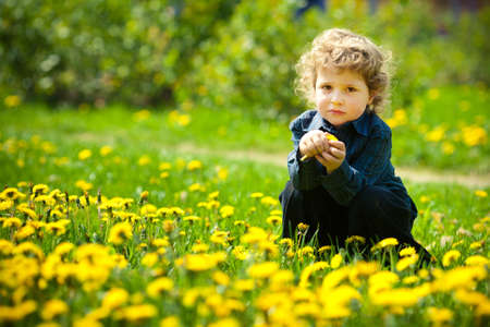 little boy in flowers field