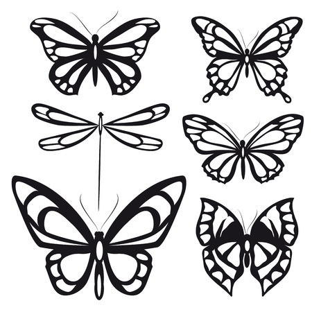 butterfly: bướm thiết kế