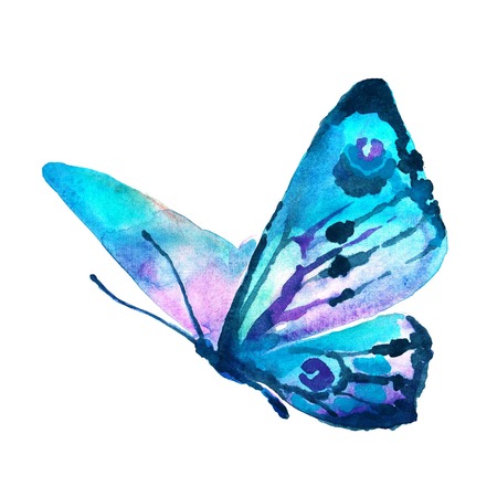 butterfly: bướm thiết kế