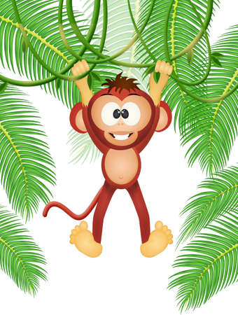 Monkey on the lianas