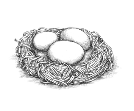 卵の簡単な巣のイラスト の写真素材 画像素材 Image 7314 卵の簡単な巣のイラスト の写真素材 画像素材 Image 7314