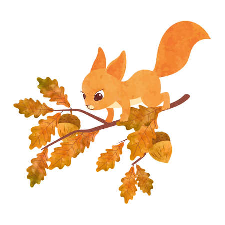 Cute squirrel on the oak tree. vector watercolor illustration.