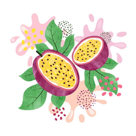 7 438 パッションフルーツ のイラスト素材 ベクター 123rf 7 438 パッションフルーツ のイラスト素材 ベクター 123rf