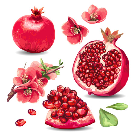 フルーツ ザクロとピンクの花 隔離された要素 のイラスト素材 ベクタ Image フルーツ ザクロとピンクの花 隔離された要素 のイラスト素材 ベクタ Image