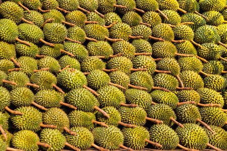Durian: Texture của sầu riêng trên thị trường Kho ảnh