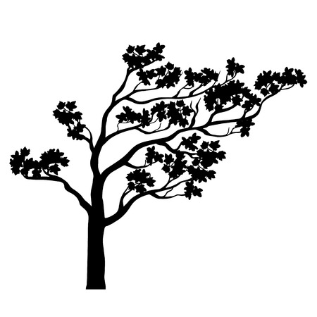 Arbre Sakura Silhouette Avec Le Paysage Noir Et Blanc Contour Isole Un Arbre En Fleurs Pour La Conception De Printemps Stylise Dessin Cerise Chinois Conception De Tatouage Vector Illustration Clip Art Libres Arbre Sakura Silhouette Avec Le Paysage Noir Et Blanc Contour Isole Un Arbre En Fleurs Pour La Conception De Printemps Stylise Dessin Cerise Chinois Conception De Tatouage Vector Illustration Clip Art Libres