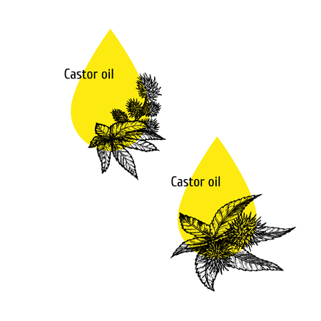 Download Castor Oil Stock Illustrations Cliparts And Royalty Free Castor Oil Vectors Yellowimages Mockups