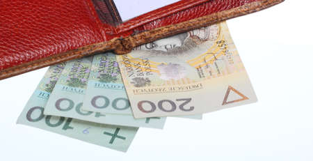 economy and finance wallet with money paper currency polish stock