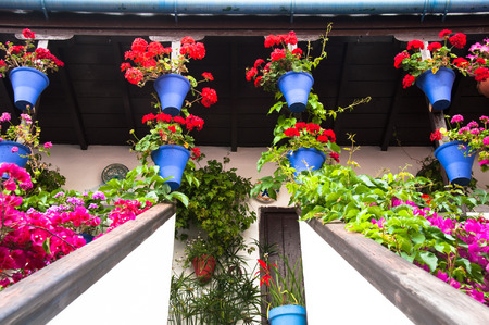 古い家 スペイン コルドバのパティオ祭り ヨーロッパの春の花の装飾 の写真素材 画像素材 Image 古い家 スペイン コルドバのパティオ祭り ヨーロッパの春の花の装飾 の写真素材 画像素材 Image