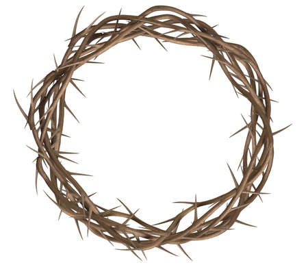 Crown Of Thorns Stock Photos And Images 123rf