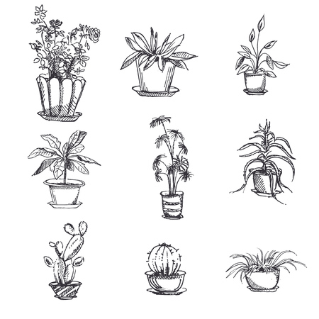鍋に観葉植物を設定します アート グラフィック要素花観葉植物を植えます イラスト のイラスト素材 ベクタ Image