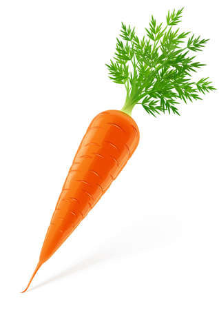 a carrot: cà rốt với đầu minh hoạ vector cô lập trên nền trắng