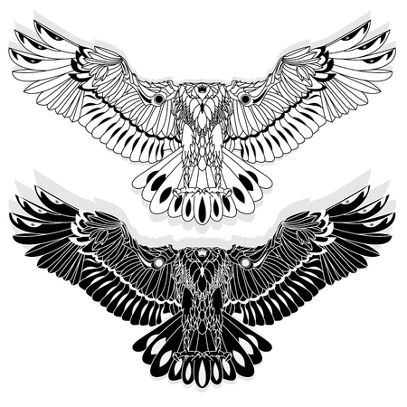 Eagle flying on white background illustration.