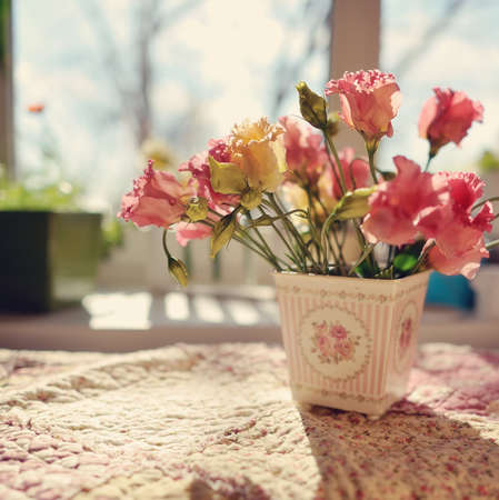 flower pots in the rays of sunlight on a window - 19120832