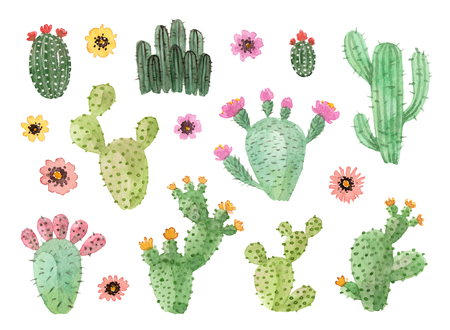 watercolor hand painted cactus. isolated elements - 96477574