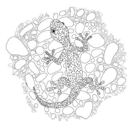 Illustration Realiste Et Detaillee De Lezard Vecteur Pour Un Livre De Coloriage Pour Les Adultes Clip Art Libres De Droits Vecteurs Et Illustration Image 81963241
