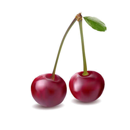 葉と桜の果実 異なる新鮮な桜ベリーのコレクションです グラデーション メッシュ のイラスト素材 ベクタ Image