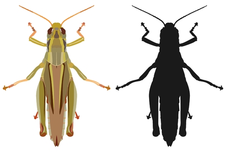 自然緑漫画イナゴとかわいいフラット バッタ アイコン 野生生物アンテナ無脊椎動物かわいいバッタ農業動物園大きな緑のバッタ自然昆虫フラット ベクトル図の イラスト素材 ベクタ Image 自然緑漫画イナゴとかわいいフラット バッタ アイコン 野生生物アンテナ無脊椎動物かわいいバッタ農業動物園大きな緑のバッタ自然昆虫フラット ベクトル図の イラスト素材 ベクタ Image