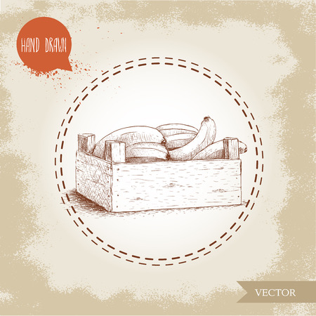 Hand Drawn Illustration Of Fresh Ripe Bananas In A Wooden Crate On Vintage Background Hand Drawn Illustration Of Fresh Ripe Bananas In A Wooden Crate On Vintage Background
