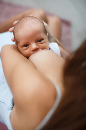 幸せな若い母 彼女の腕の中で彼女の生まれたばかりの息子と寝室に座って 白いネグリジェに身を包んだ もじゃもじゃの毛ブルネット フィード赤ちゃんの胸には 少年は欲張って彼女の母親の乳房を吸う の写真素材 画像素材 Image 幸せな若い母 彼女の腕の中で彼女の生まれたばかりの息子と寝室に座って 白いネグリジェに身を包んだ もじゃもじゃの毛ブルネット フィード赤ちゃんの胸には 少年は欲張って彼女の母親の乳房を吸う の写真素材 画像素材 Image