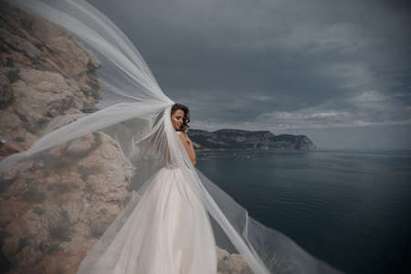 美しい花嫁はベールの華やかな白いウェディングドレスのビューで海の上の崖の上に立っています 背景の海にポーズ白いドレス でロマンチックな美しい花嫁 ビーチでポーズ豪華なドレスで幸せな花嫁 ハッピーウェディングデー の写真素材 画像素材 Image