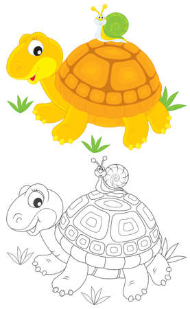 Tortoise and snail Иллюстрация