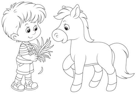 Boy feeds a pony Stock Photo