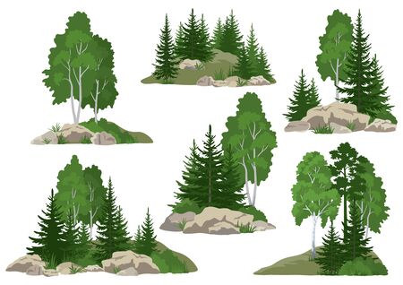 Set Landscapes, Isolated on White Background Coniferous and Deciduous Trees and Grass on the Rocks. Vector Vector Illustration