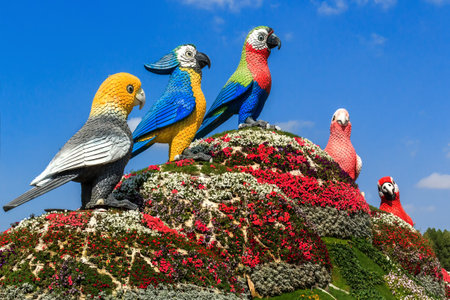 ドバイ アラブ首長国連邦 17 年 1 月 5 日 ドバイ奇跡の庭 鳥オウムの彫刻 ドバイ奇跡ガーデンは ハート スター または住宅の他の図形にさまざまな色の多種多様な世界で最大の原生花園 の写真素材 画像素材 Image