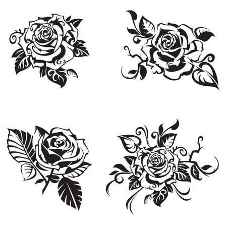 black rose set on white background Иллюстрация