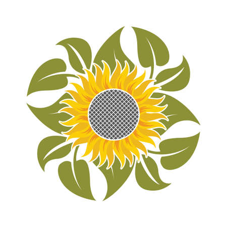 ひまわりと葉の花のイラスト のイラスト素材 ベクタ Image