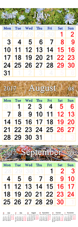 3 月 7 月のカレンダーの 8 月と 17 年 9 月小麦のイメージで花し キノコします オフィス ライフで壁のカレンダーとして使用するカレンダー の写真素材 画像素材 Image 3 月 7 月のカレンダーの 8 月と 17 年 9 月小麦のイメージで花し キノコします オフィス ライフで壁のカレンダーとして使用するカレンダー の写真素材 画像素材 Image