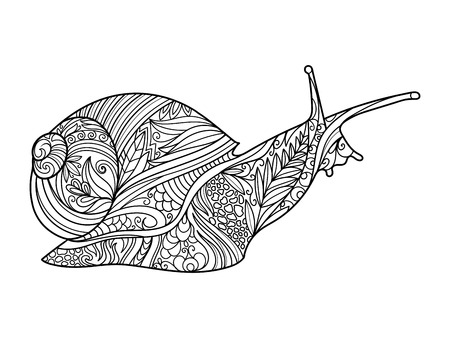 カタツムリ大人ベクトル イラストの塗り絵 のイラスト素材 ベクタ Image