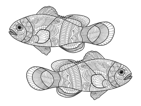 大人のための塗り絵のカクレクマノミはベクトル イラストです 大人のための着色抗ストレス Zentangle スタイル 黒と白のライン レース パターンの イラスト素材 ベクタ Image 55353030