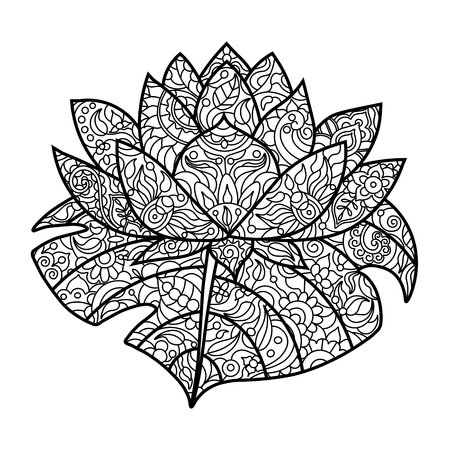 Lotus Water Lily Flower Coloring Book For Adults Vector Illustration Anti Stress