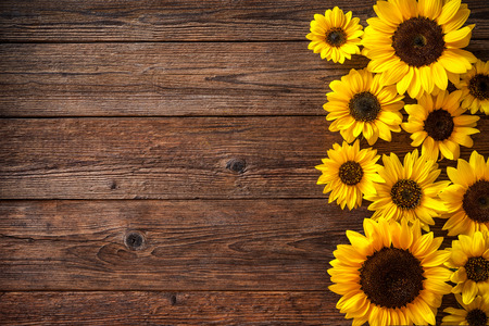 Autumn background with sunflowers on wooden board