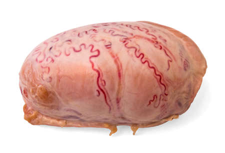 Elastrated Testicles