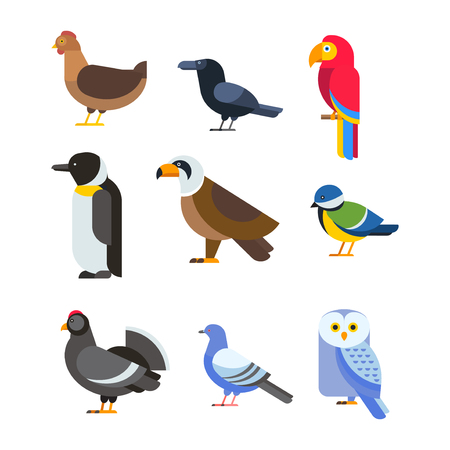 鳥のベクトルのセット カラフルな野生動物の自然のコレクション 漫画の翼飛行動物かわいい図面シルエット 野生のハエ色鳥キャラ イラスト のイラスト素材 ベクタ Image