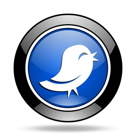 青い光沢のあるアイコンを Twitter します の写真素材 画像素材 Image 青い光沢のあるアイコンを Twitter します の写真素材 画像素材 Image