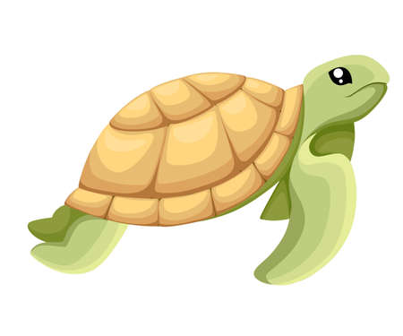 面白い亀のイラスト のイラスト素材 ベクタ Image