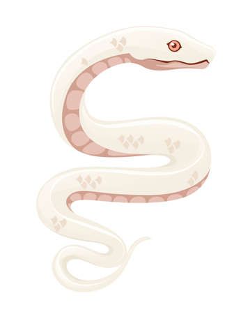White albino snake cartoon animal design flat vector illustration isolated on white background.