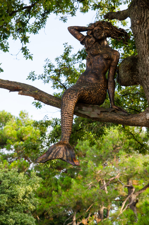 観光 の彫刻 ゲレンジク クラスノダール地方 ロシア の写真素材 画像素材 Image 観光 の彫刻 ゲレンジク クラスノダール地方 ロシア の写真素材 画像素材 Image