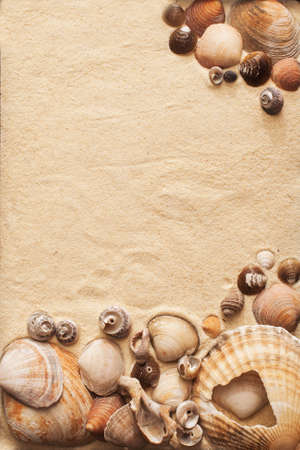 Sand und Muscheln auf einem Strand in einem Sommer Sonnenuntergang